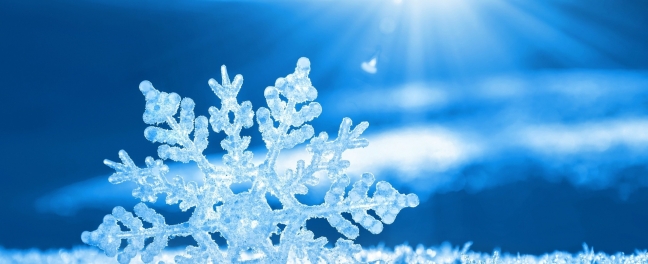 January 2025 Newsletter
